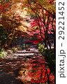 紅葉 29221452