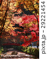 紅葉 29221454