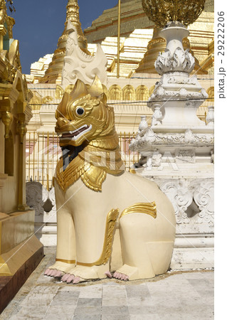 シュエダゴン・パゴダ　獅子像 29222206