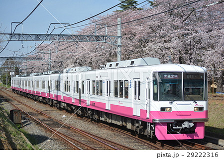 新京成電鉄 8800形と桜 29222316