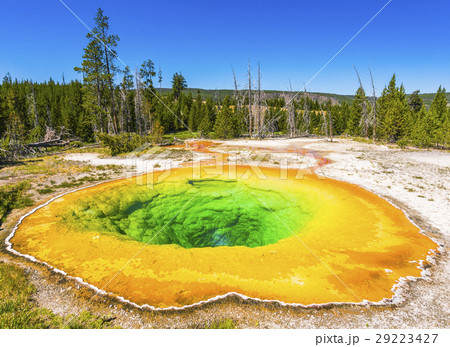 Morning Glory Pool geyser ,Yellowstone np. 29223427