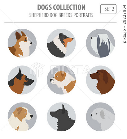 Shepherd dog breeds, sheepdogs collection Shepherd dog breeds, sheepdogs collection 29223804