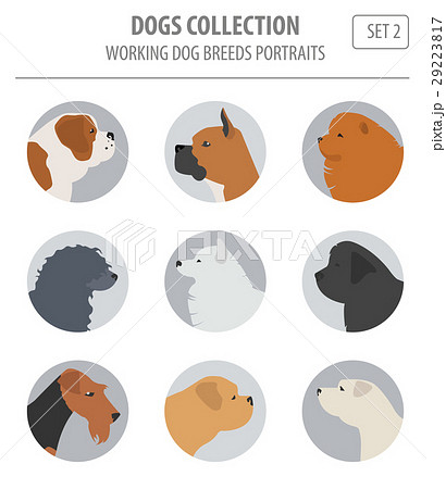 Working (watching) dog breeds collection isolated 29223817