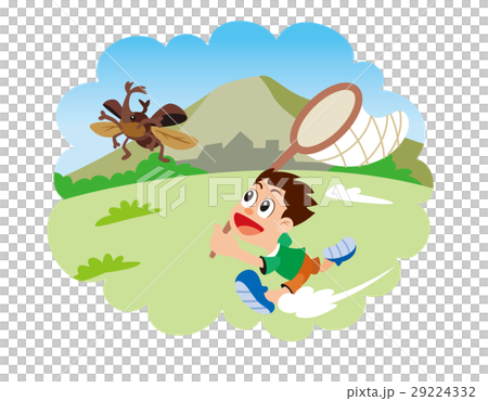 昆虫採集、虫取り、虫あみと子供、カブトムシ 29224332