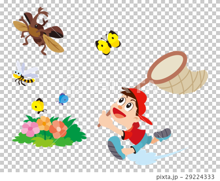 昆虫採集 虫取り 虫あみと子供 カブトムシ チョウチョ トンボのイラスト素材