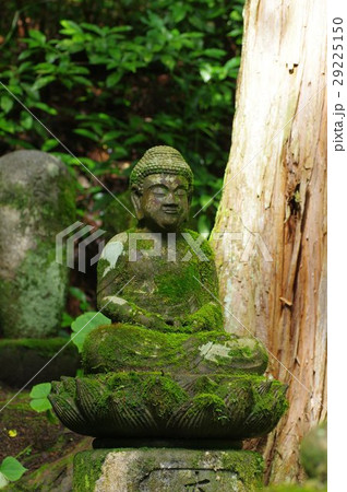 信州の文化財　名工　守屋貞治の石仏　阿弥陀如来像（駒ヶ根市光前寺） 29225150