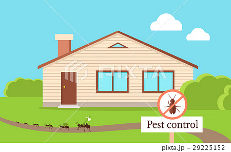 Pest Control Concept with Cockroach Leaving House Pest Control Concept with Cockroach Leaving House 29225152