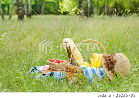 Picnic basket book strawberry and hat 29225705
