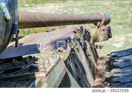 Battle tank in moor 29227299