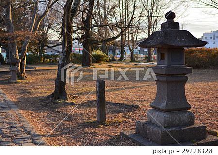 仙台・薬師堂 29228328