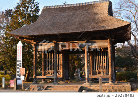 仙台・薬師堂 29228482