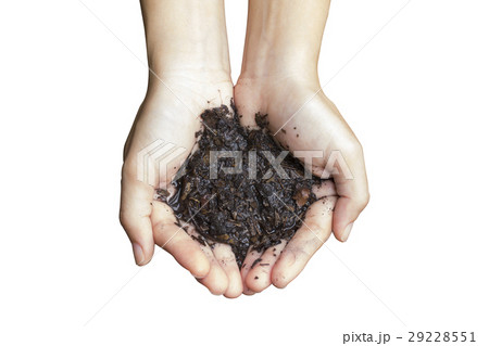 wet soil in hand wet soil in hand 29228551