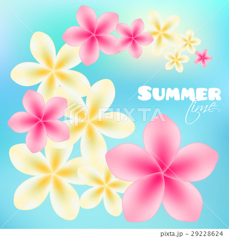 Summer time poster background with tropical flower 29228624