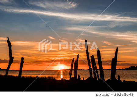 Logs of the Sunset 29228643