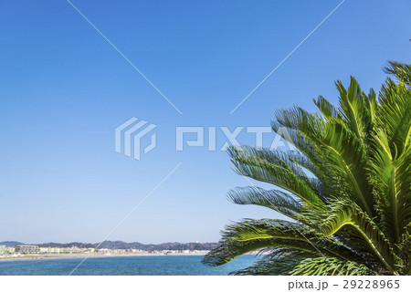 由比ヶ浜と青い空 29228965