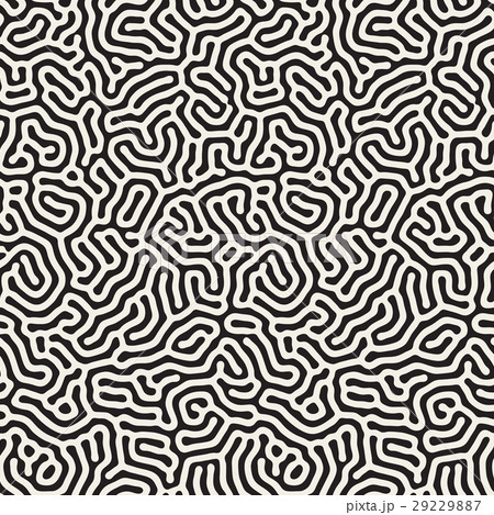 Vector Seamless Organic Rounded Lines Maze Cora Vector Seamless Organic Rounded Lines Maze Cora 29229887