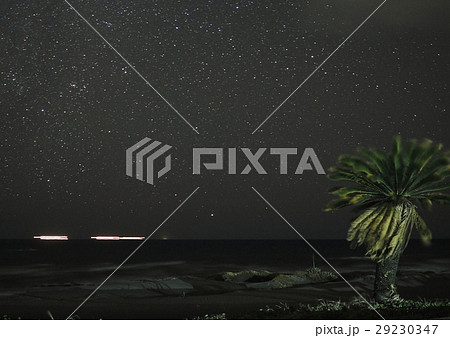 カノープス 29230347