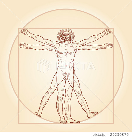 The Vitruvian man (Homo vitruviano) 29230376