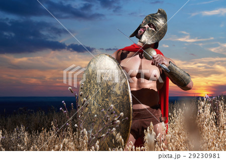 Warrior holding weapon near neck. 29230981