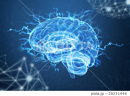 A human brain on blue backgroundのイラスト素材 [29231444] - PIXTA