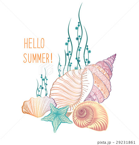 Marine Life Background Seashell Summer Holidayのイラスト素材