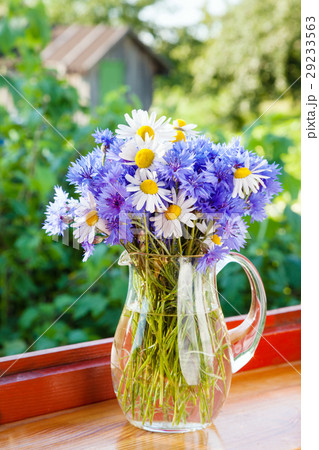 bouquet of blue cornflowers and daisies in a jug bouquet of blue cornflowers and daisies in a jug 29233563