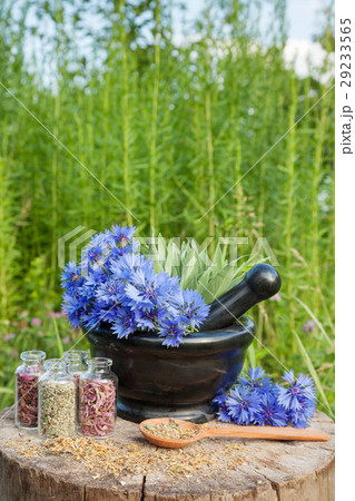 mortar with blue cornflowers and sage 29233565