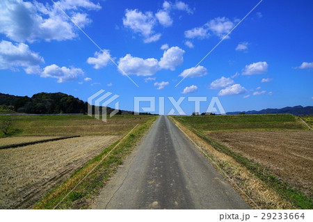 千葉県 鴨川 田んぼと畑の一本道の写真素材
