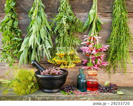 bunches of healing herbs on wooden wall 29233720