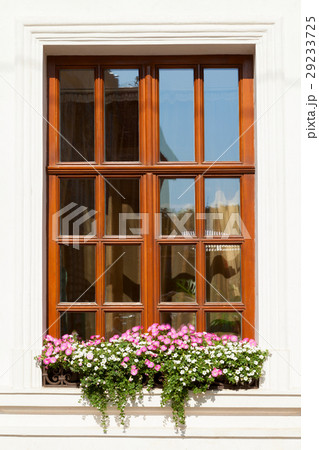 Flower box below a window Flower box below a window 29233725