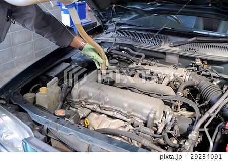 オイル交換 オイル交換 29234091