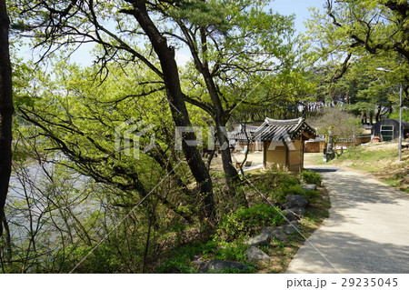 韓国　古民家　世界遺産　安東河回村 29235045