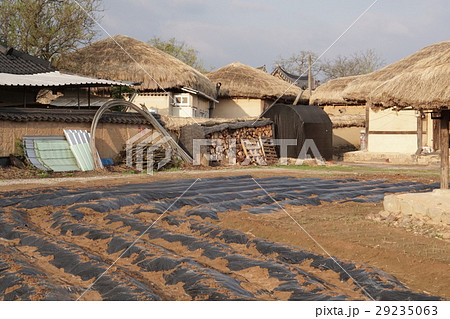 韓国 古民家 世界遺産 安東河回村 韓国 古民家 世界遺産 安東河回村 29235063
