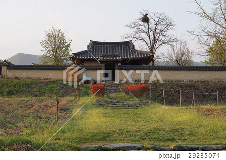安東河回村 29235074
