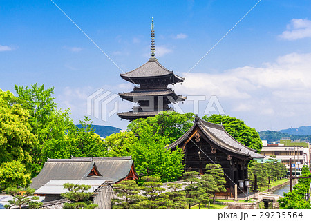 春の京都 東寺 五重塔と南大門 春の京都 東寺 五重塔と南大門 29235564