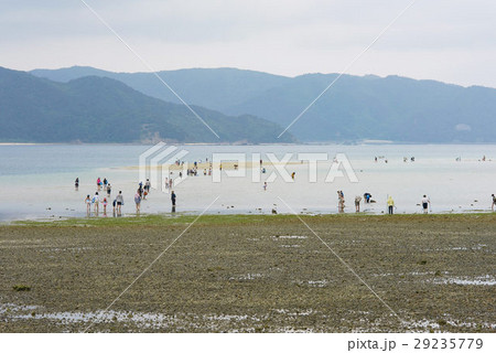 奄美大島春の大潮、かくれ浜（ナーバマ）に向かう観光客 29235779