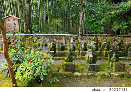 赤山禅院の三十三観音と十六羅漢様 赤山禅院の三十三観音と十六羅漢様 29237451