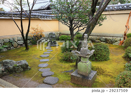 芳春院門前の手入れされた庭園 芳春院門前の手入れされた庭園 29237509