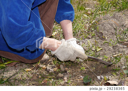 草むしり 29238365