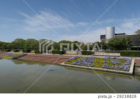 万博記念公園自然文化園~水の広場~ 万博記念公園自然文化園~水の広場~ 29238826