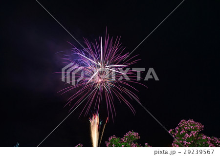 【静岡県伊東市】按針祭、灯籠の流れ打上花火 【静岡県伊東市】按針祭、灯籠の流れ打上花火 29239567