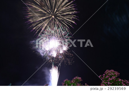 【静岡県伊東市】按針祭、灯籠の流れ打上花火 【静岡県伊東市】按針祭、灯籠の流れ打上花火 29239569