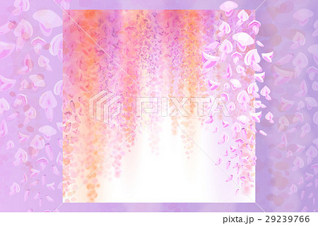 Spring background with blooming wisteria Spring background with blooming wisteria 29239766