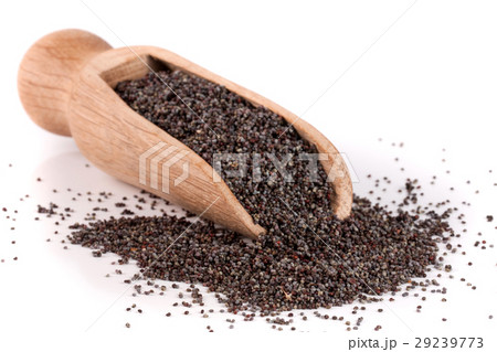 poppy seeds in a wooden scoop isolated on white 29239773