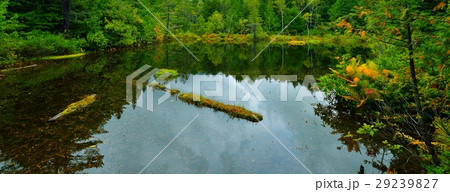 乗鞍　秋　牛留池 29239827