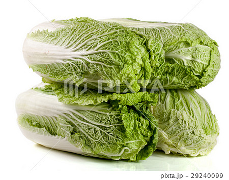 four chinese cabbage and half isolated on white four chinese cabbage and half isolated on white 29240099