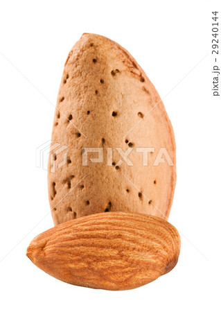two almond nut isolated on white background close 29240144
