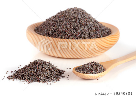 poppy seeds in a wooden bowl and spoon isolated on poppy seeds in a wooden bowl and spoon isolated on 29240301