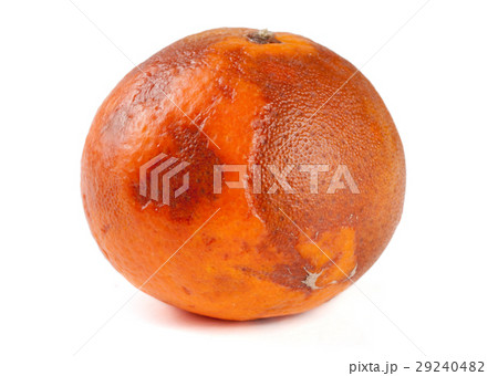one damaged tangerine isolated on white background one damaged tangerine isolated on white background 29240482