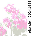 ゼラニウムの花 29241446